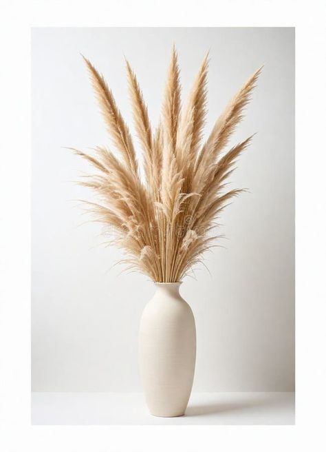 Tan vase with feathers and pampas on it stock image Large Feathers In Vase, White Floor Vase With Pampas, Pampas Arrangement Vase, Boohoo Bedroom, Vase With Feathers, Pampas Deco, Grass Edgers, Bunny Bouquet, Pampas Vase