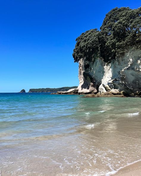 Cathedral Cove, Hahei Beach, Coromandel Peninsula, North Island, New Zealand www.greatnorthtours.co.nz Click the link in bio Coromandel Peninsula, Nz Beach, Cathedral Cove, New Zealand Beach, North Island New Zealand, Jan 2025, Mid Summer, Painting Reference, To Meet