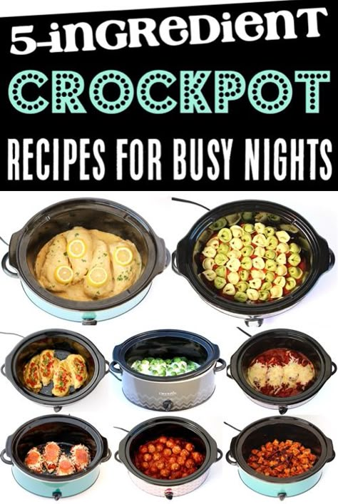 Meals 5 Ingredients Or Less, 5 Ingredient Crockpot Recipes, 5 Ingredient Crock Pot Recipes, Crock Pot Dump Meals, Snickerdoodle Cookies Recipe Easy, Crock Pot Recipes Easy, Crock Pot Dump, Crockpot Dump Recipes, Slow Cooker Dinners