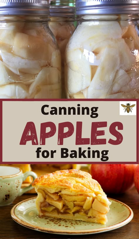 Canning Cooked Apples, How To Can Apples For Apple Pie Filling, Canning Granny Smith Apples, Canning Apple Slices, Canning Fried Apples, Apples Canning, Apple Canning Recipes, Apple Recipes For Canning, Can Apples