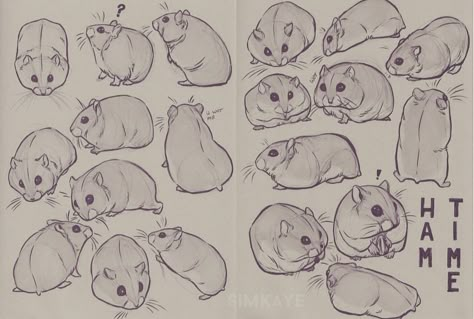 Hamster drawing Drawing Challenge For Kids, Hamster Cartoon, Sketchbook Doodles, Kids Animation, Sketch Ink, Doodles Art, Ideas For Drawing, Animal Doodles, Animal Drawing