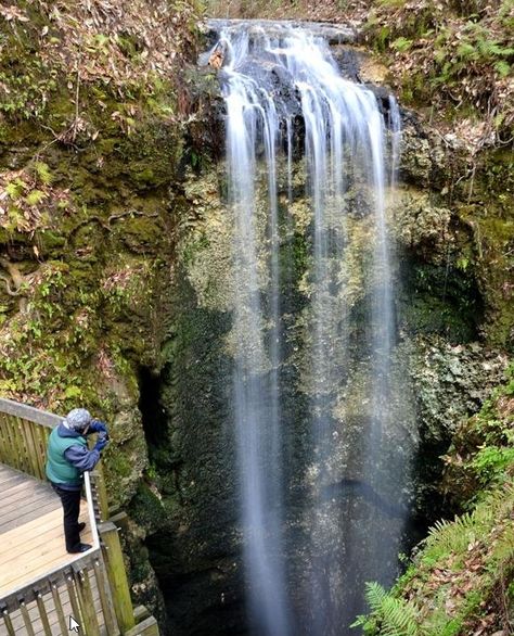 Falling Waters State Park  #vacation #destinations #thingstodo #placestogo #travel #unusual #beautiful Florida Vacation Spots, Falling Waters, Florida Adventures, Florida State Parks, Florida Springs, Places In Florida, Caribbean Culture, Visit Florida, To Infinity And Beyond