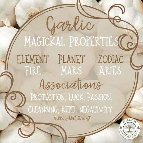 Garlic Spiritual Uses, Garlic Magical Properties, Magical Properties Of Garlic, Grimoire Topics, Herbs For Spells, Witchy Plants, Herb Journal, Taking My Power Back, Magical Herbs Witchcraft