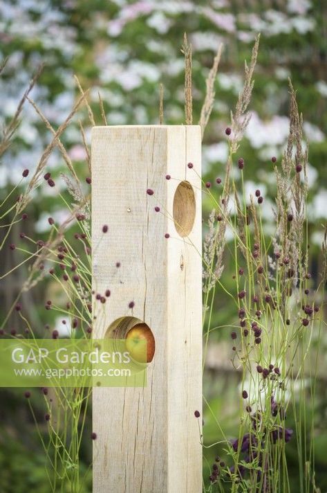 Wooden bird-feeder with apple among Sanguisorba and Calamagrosis grass in The Wooden Spoon Garden, RHS Hampton Court Palace Garden Festival 2022 Cornish House, Birds Feeder, Insect House, Hampton Court Palace Gardens, Birds House, Hampton Court Flower Show, Path Lighting, Garden Gadgets, Wooden Bird Feeders