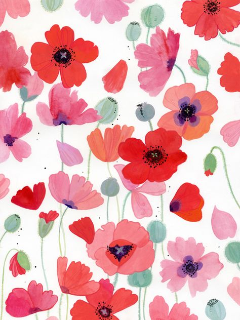 Red Poppy Wallpaper, Poppy Flower Pattern, Inga Buive, Poppy Flower Wallpaper, Poppy Flower Illustration, Poppy Aesthetic, Poppy Background, Poppies Illustration, Poppy Illustration