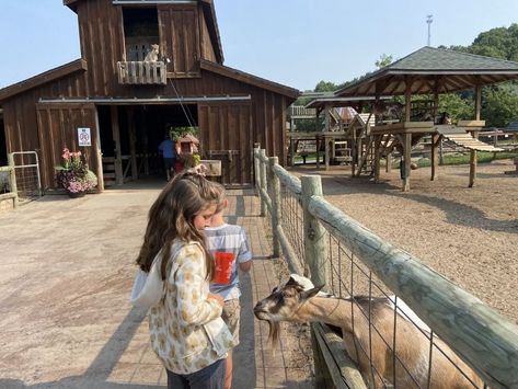 Diy Petting Zoo Ideas, Petting Zoo Layout, Petting Zoo Farm Layout, Petting Farm Ideas, Petting Zoo Animals, Petting Zoo Ideas, Agritourism Ideas, Petting Zoo Farm, Agritourism Farms