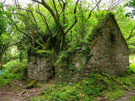 Abandoned Stone Cottage. Sneem/Kenmare, Ireland Christ Of The Abyss, Gulliver's Travels, Namib Desert, Abandoned Things, Forgotten Places, Walking Paths, Abandoned Mansions, Places In Europe, Stone Cottage