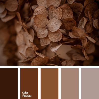 A lovely restrained palette paints, personifying the ground. Brown symbolizes reliability, stability and security. It is a great color for creating a home-. Boho Ideas, Brown Color Schemes, Brown Color Palette, Have Inspiration, Trendy Living Rooms, Room Color Schemes, Room Paint Colors, Brown Living Room, Color Balance