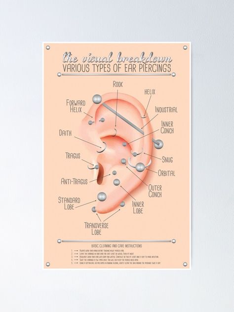 Ear Piercing Chart, Outer Conch, Piercings Chart, Ear Peircings, Ear Piercings Chart, Piercing Chart, Types Of Ear Piercings, Chart Infographic, Anti Tragus