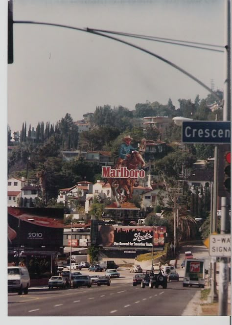 Looking west down Sunset Blvd. from Crescent Heights Blvd. Los Angeles, CA 1984 Los Angeles Aesthetic, Burbank California, Sunset Blvd, Warner Bros Studios, Laurel Canyon, Sunset Strip, Universal Studios Hollywood, Vintage Los Angeles, California Love