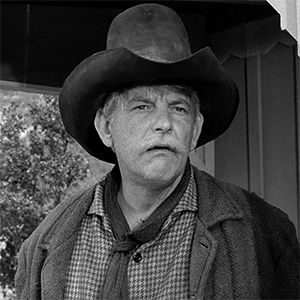 12 wonderful character actors who turn up in every TV Western  Denver Pyles Old Western Actors, Denver Pyle, Tough Men, Johnny Ringo, Old Western Movies, Western Hero, Human Oddities, Dirty Dozen, Photos People