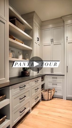 Butlers Pantry Food Storage, Walk In Pantry With Closed Cabinets, Pantry With Closed Cabinets, Closed Cabinet Pantry, Walk In Pantry With Cabinets And Counter, Walk In Pantry Cabinet Ideas, Walk In Pantry With Cabinets, Oven In Pantry, Pantry Appliance Storage