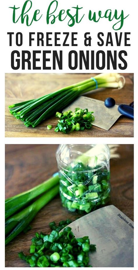 Solve smelly onion problems by freezing green onions in empty plastic bottles. Chop them up, add to the bottle, and freeze. Shake them out when needed! Freezing Peppers And Onions, How To Preserve Fresh Green Onions, How To Preserve Fresh Squash, Freeze Food Packaging, Freezing Garden Vegetables, Make Ahead Zucchini Recipes, Meals With Green Onions, Freezing Green Onions, How To Freeze Onions