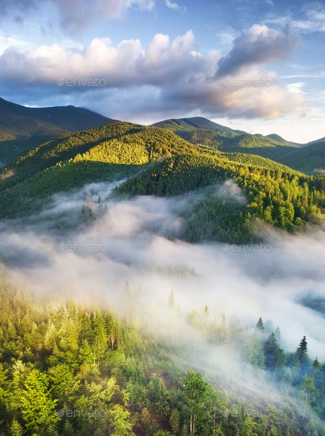 Forest Aerial View, Forest Overview, View From Mountain Top, Forest Top View, Forest Mountain Landscape, Forest Valley, Forest Images, Jungle Images, Top Of Mountain