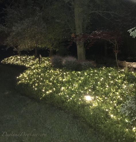 If You Want Your Yard to Sparkle at Night, Try This! – DustandDoghair Gardens At Night, Front Yard Lighting, Butchart Gardens, Outdoor Garden Lighting, Outdoor Landscape Lighting, Backyard Lighting, Moon Garden, Night Garden, Beautiful Flowers Garden