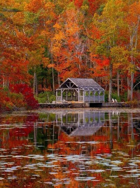 Moore State Park, Massachusetts Weather Underground, Fall Beauty, Autumn Scenes, Autumn Scenery, I Love Fall, Autumn Beauty, Fall Pictures, Covered Bridges, Love Fall