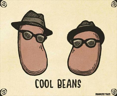 Coffee Puns, Punny Puns, Funny Food Puns, Visual Puns, Coffee Life, Cool Beans, Cute Puns, Pun Card, Food Puns