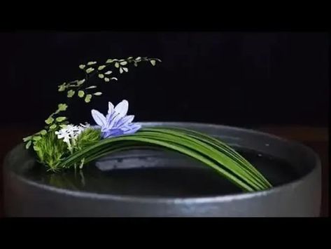 Ikebana Tutorial How To Make, Ikebana Sogetsu Ideas, Fall Ikebana Arrangements, Japanese Flower Arrangement Ikebana, Orchid Ikebana, Ikebana Flower Arrangement Art Floral, Kenzan Flower Arrangement, Modern Flower Arrangements Unique Floral Design, Cute Flower Arrangements