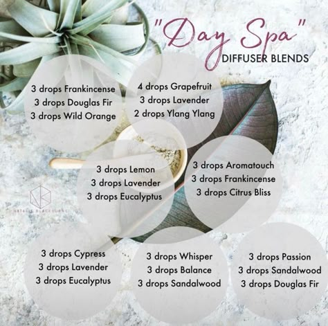 Relaxing Diffuser Blend Doterra, Chill Out Diffuser Blend, Essential Oil Blends Spa Smell, Doterra Relaxing Diffuser Blends, Spa Blend Essential Oils Diffuser, Chill Essential Oil Blend, Essential Oil Blends Relaxation, Peaceful Essential Oil Blend Diffuser, Doterra Spa Diffuser Blends