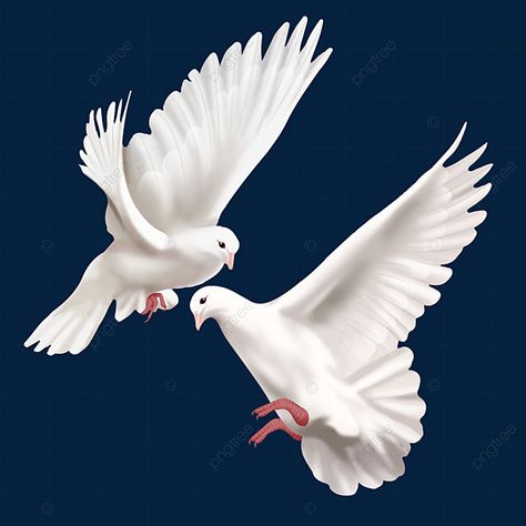 World Peace Art, Pigeon Clipart, Grace Illustration, Purity Symbol, Pigeon Png, Dove Png, Air Birds, Fly Bird, Flying Art