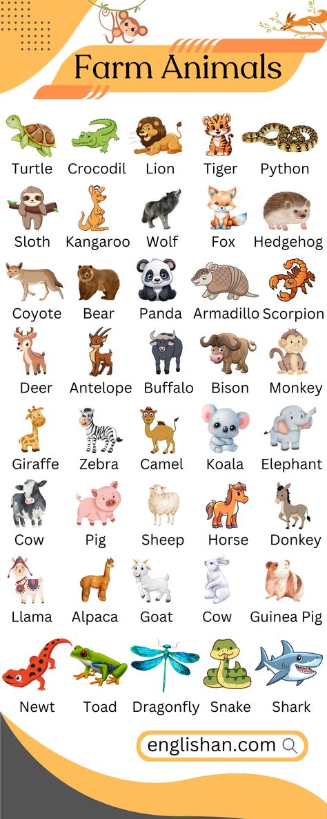 Farm Animals Names in English with Pictures. Learn Farm Animals Vocabulary with Pictures and some fun facts about them. Animals Names In English, Masculine And Feminine Gender, Gender Of Animals, Animals Name With Picture, Fruits Name In English, Animals List, Animals Name In English, Animals Name, Learning English For Kids