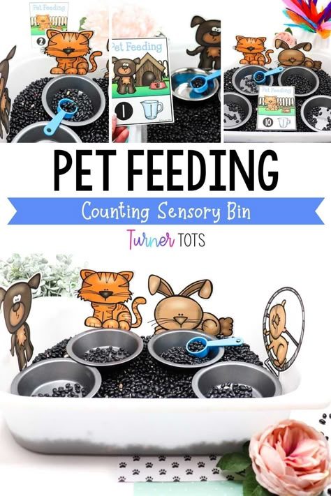 Pet Fine Motor Activities For Preschool, Pet Themed Sensory Bin, Pets Crafts For Preschoolers, Pet Curriculum Preschool, Animal Themed Activities For Toddlers, Pets Science Preschool Activities, Pets Lesson Plans Preschool, Pet Math Activities, Creative Curriculum Pet Study