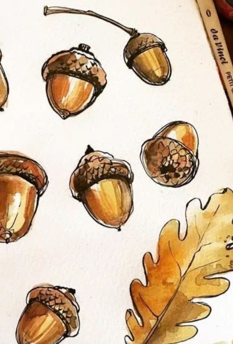 Fall Leaves Sketch, Acorn Watercolor Paintings, Autumn Leaves Sketch, Acorn Drawing Simple, Oak Leaves Drawing, Acorn Sketch, Acorns Drawing, Oak Leaf Drawing, Cottagecore Drawing Ideas