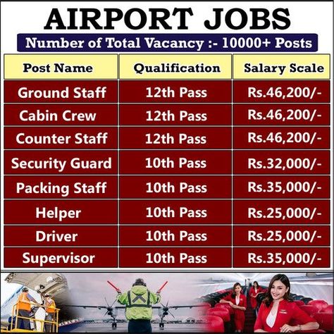 Salary Scale, Cabin Crew Jobs, Airport Jobs, Airline Jobs, Online Jobs For Teens, Flight Attendant Life, Jobs For Teens, Cabin Crew, Fly High