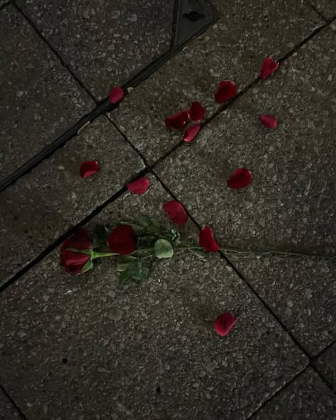 Roses On The Floor, Rose On The Ground Aesthetic, Rose Snap, Dried Rose Aesthetic, Dried Rose Petals Aesthetic, Dried Roses Aesthetic Dark, Rose Flower Aesthetic Red, Broken Rose, Wilted Rose Aesthetic Dark