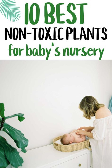 Plants In A Nursery, Nursery Hanging Plants, Plant Themed Nursery Bohemian, Greenery In Nursery, Hanging Plant In Nursery, Plant Wall Nursery, Best Plants For Nursery, Hanging Plants In Nursery, Nursery Plants Ideas