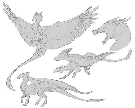 Dragon Arms Reference, Flying Dragon Reference, Two Dragons Drawing, Dragon Oc Reference, Dragon Flying Drawing Reference, Two Legged Dragon, Dragon Dynamic Pose, Dragon Tails Drawing, Armored Dragon Art