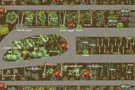 Avec le logiciel de plan Dessinerjardin.fr, vous allez concevoir votre potager idéal en toute simplicité ! #potager #permaculture #jardinier #jardin #planpotager Plan Potager Permaculture, Plan Potager, Permaculture Design, Permaculture, Coco, How To Plan, Quick Saves