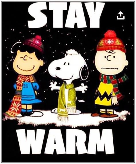 Snoopy Winter, Peanuts Lucy, Peanuts Quotes, Good Morning Snoopy, Woodstock Snoopy, Brown And Friends, Peanuts Charlie Brown Snoopy, Snoopy Comics, Snoopy And Charlie Brown