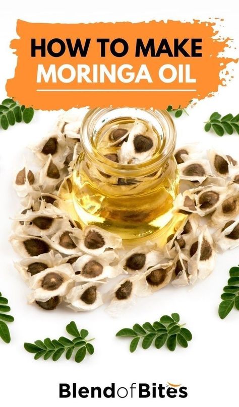 Benefits Of Moringa Seeds, Moringa Recipes, Health Benefits Of Moringa, Moringa Benefits, Benefits Of Moringa, Moringa Seeds, Moringa Tree, Seeds Benefits, Moringa Oil