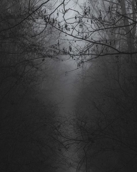 Ludmila Core, Dark Nature, Dark Photography, Dark Aesthetic, Abstract Artwork, Trees, Moon, On Instagram, Instagram