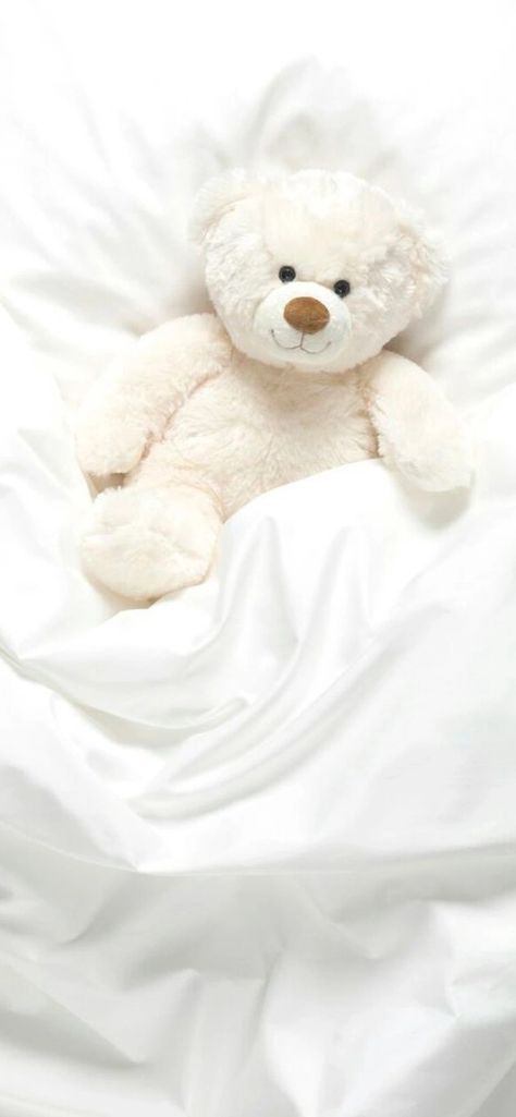 Teddy Bear Wallpaper, Bear Wallpaper, White Aesthetic, Teddy Bears, Wallpaper Iphone, Bears, Iphone Wallpaper, Teddy Bear, Wallpapers