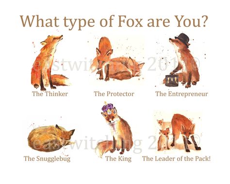 Fox types Fox Person, Fox Things, What Animal Are You, Fox Therian, Fox Totem, Fantastic Fox, For Fox Sake, Fox Art Print, Vulpes Vulpes