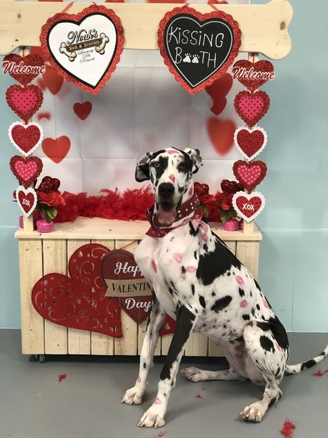 Puppy Kissing Booth, Dog Kissing Booth, Photo Booth Diy, Valentine Boxes For School, Booth Diy, Valentine Boxes, Maid Cafe, Doggy Daycare, Dog Kisses