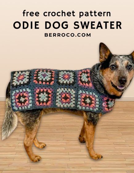 Big dog sweaters