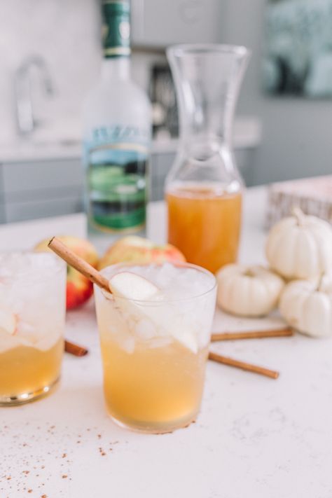 Vodka Fall Punch, Vodka Cocktails For Fall, Apple Cider And Vodka Fall Drinks, Apple Cider Cocktails For A Crowd, Apple Cider Crush, Vodka Apple Cider Cocktail, Fall Inspired Vodka Cocktails, Light Fall Cocktails, Apple Cider Cocktail Recipes Vodka