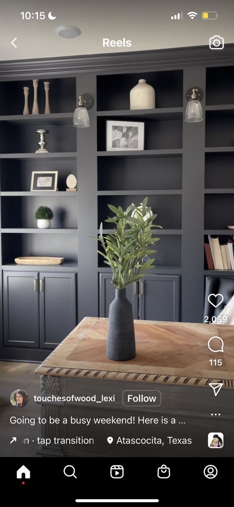 Fitted Office Furniture, Bookshelves Living Room, Grey Bookshelves, Built In Bookshelves, Built In Shelves Living Room, Wall Bookshelves, Pierre Frey, Built In Shelves, Black Walls