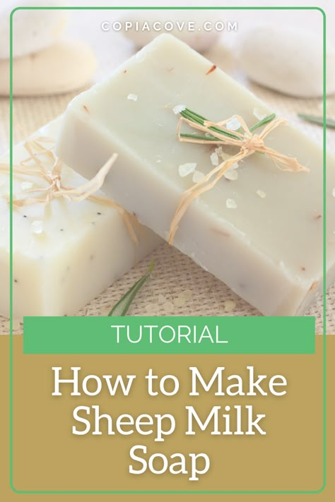 How to Make Sheep Milk Soap - Copia Cove Icelandic Sheep | Butte Montana USA Sheep Milk Soap Recipe, Sheeps Milk Soap, Buttermilk Soap Recipe, Sheep Milk Soap, Sheep Milk Recipes, Sheep Recipes, Sheep Products, Dairy Sheep, Milk Sheep