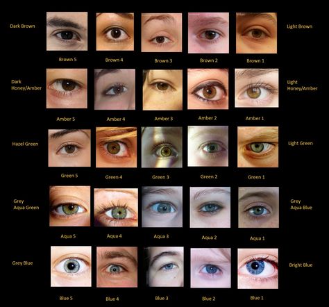 Eye colour chart with photos of real eyes. Eye Colours Chart, Eye Type Chart, Eye Colour Chart, Eye Color Names, Types Of Eye Colors, Different Types Of Eyes, Drawing 101, Eye Color Chart, Eye Anatomy