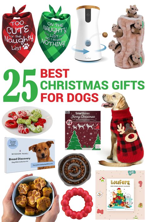 Christmas Gifts for Dogs Christmas For Dogs, Easy Christmas Gift Ideas, Dog Xmas Gifts, Christmas Gifts For Dogs, Dog Advent Calendar, Christmas Dog Toy, Toy Advent Calendar, Dog Xmas, Ideas For Dogs