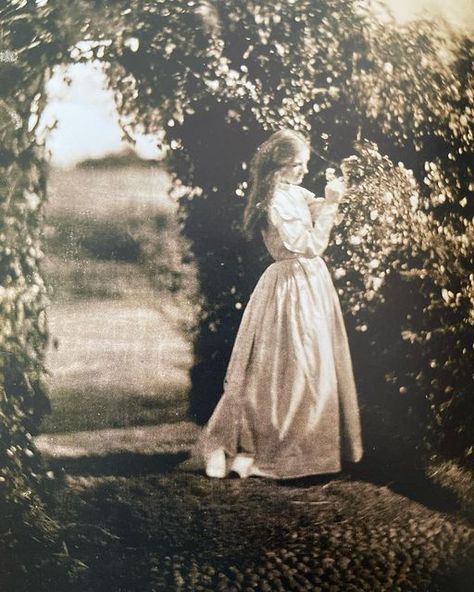 Maria Fernanda Candido on Instagram: "1867, The Gardener’s Daughter photo Julia Margaret Cameron" Laurie Aesthetic, Julia Margaret Cameron Photography, Theodore Laurence, Henry Fox Talbot, Frank Horvat, Louis Daguerre, Jeremy Deller, Julia Margaret Cameron, Artist Reference