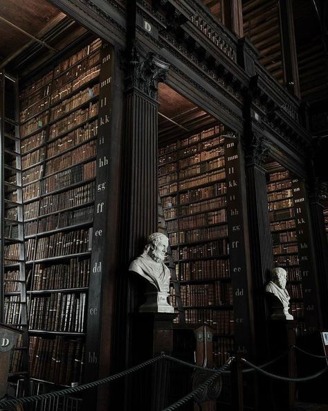 Book Core Aesthetic, Gothic Academia Aesthetic, Dark Academia Pictures, Dark Academia Library, Book Core, Gothic Library, Gothic Academia, Dark Light Academia, Darkest Academia