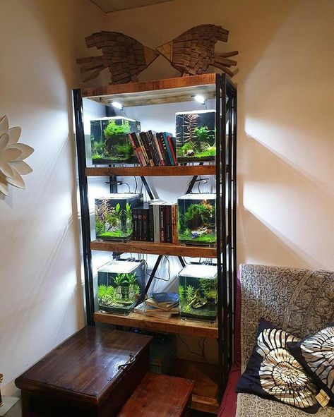 Aquarium Inspiration, Fish Room, Aquarium Stands, Fish Tank Terrarium, Cool Fish Tanks, Fish Tank Design, Betta Aquarium, Aquascape Design, Reptile Room