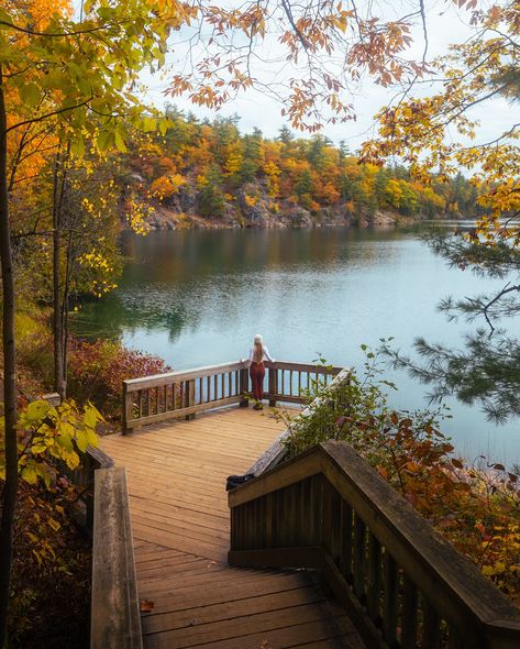 Fall in Gatineau Park 🍂😍 We’ve just finished planning our Fall road trips this year and I can’t wait to hit the road next week 🚐 Last year we did a 2-month road trip to the Canadian Rockies to Muskoka, Niagara, Ottawa, Toronto and Quebec City… and this day exploring Gatineau Park was one of my favourites 😍🍂 Really looking forward to Fall hikes, camping, cozy cabins, and family time soon 🍁☕️ • • • • #ottawa #gatineaupark #quebec #adventurequebec #ontariotravel #discoveron #exploreontario #fal... Ontario Travel, Fall Road Trip, Fall Hiking, Quebec City, Canadian Rockies, Cozy Cabin, Ottawa, Family Time, Ontario