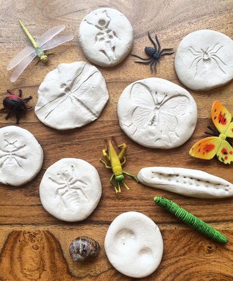 Bug "Fossils" Using Air Drying Clay (from Orla & Me via Instagram: https://www.instagram.com/p/BijKe7aHPG-/?taken-by=orla_and_me) Bug Fossils, Minibeast Art, Clay Fossils, Clay Bugs, Nature Play Ideas, September Month, Silly Bird, Forest School Ideas, Fossil Art