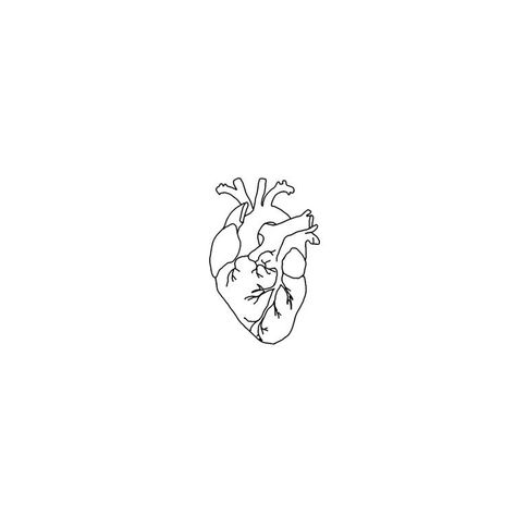 Moomin Tattoo, Anatomical Heart Tattoo, Kunst Tattoos, Logo Instagram, Men Tattoos, Inspiration Tattoos, Initial Tattoo, Heart Drawing, Aesthetic Tattoo